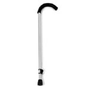 Single Point Canes